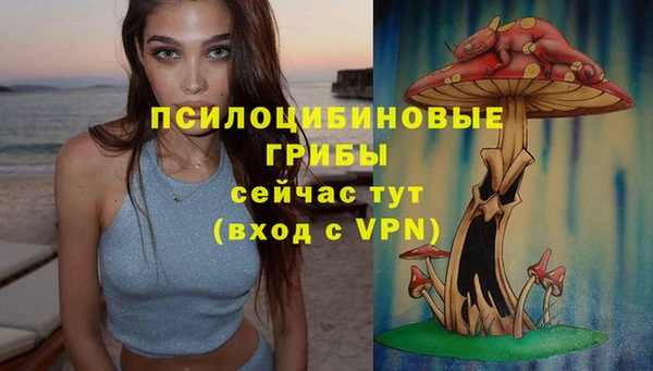 дживик Богданович